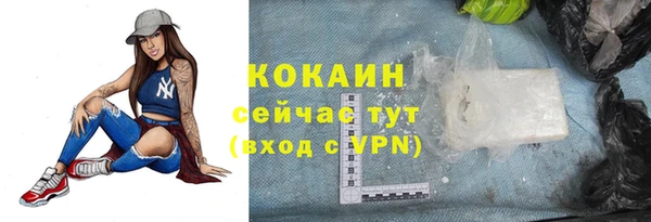 бошки Осинники