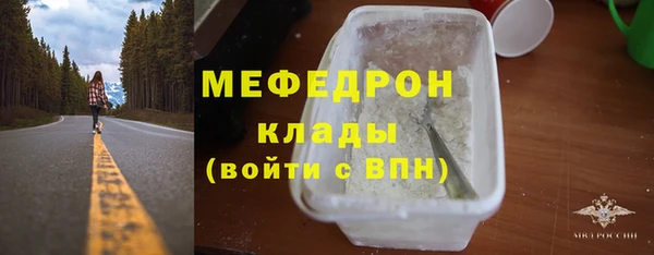 индика Бородино