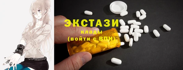 гашик Галич