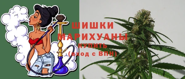 молекула духа Весьегонск