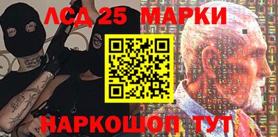 мяу мяу мука Аргун