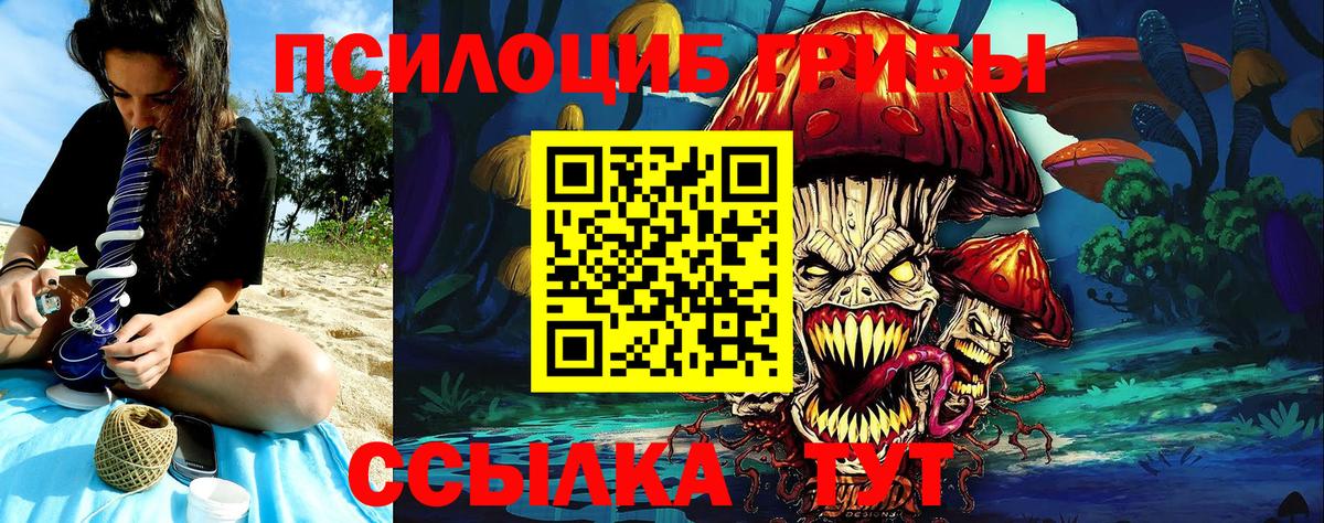 Псилоцибиновые грибы GOLDEN TEACHER  Псилоцибиновые грибы Cubensis  Балаково  Вход с VPN 