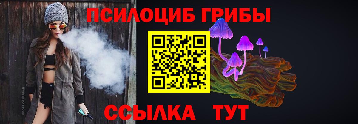 Псилоцибиновые грибы Psilocybine cubensis  Балаково 